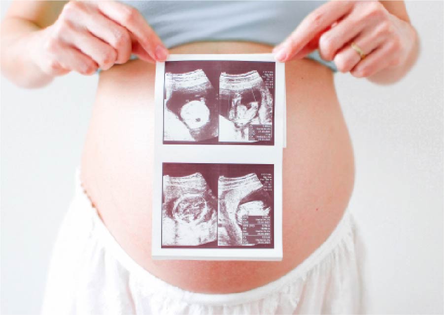 医療者育成・ライセンス管理